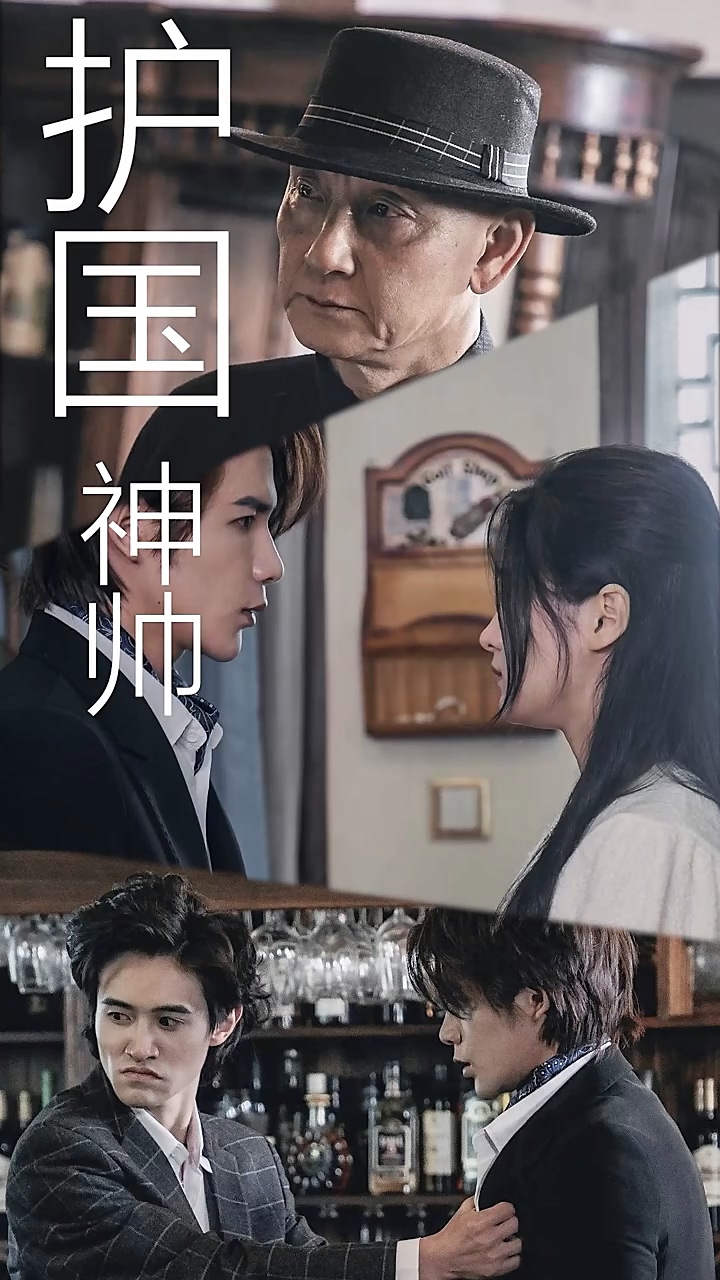 護(hù)國龍帥 第38集