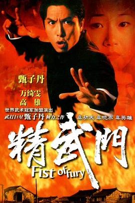 精武門1995(全集)