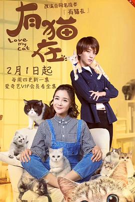 有貓在 第11集