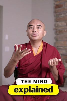頭腦解密第二季(全集)